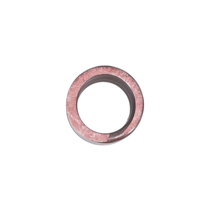 Valve Spring