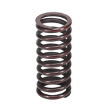Valve Spring