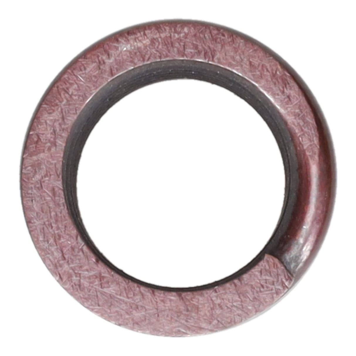 Valve Spring
