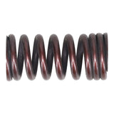 Valve Spring
