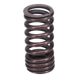 Valve Spring