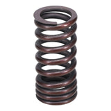 Valve Spring