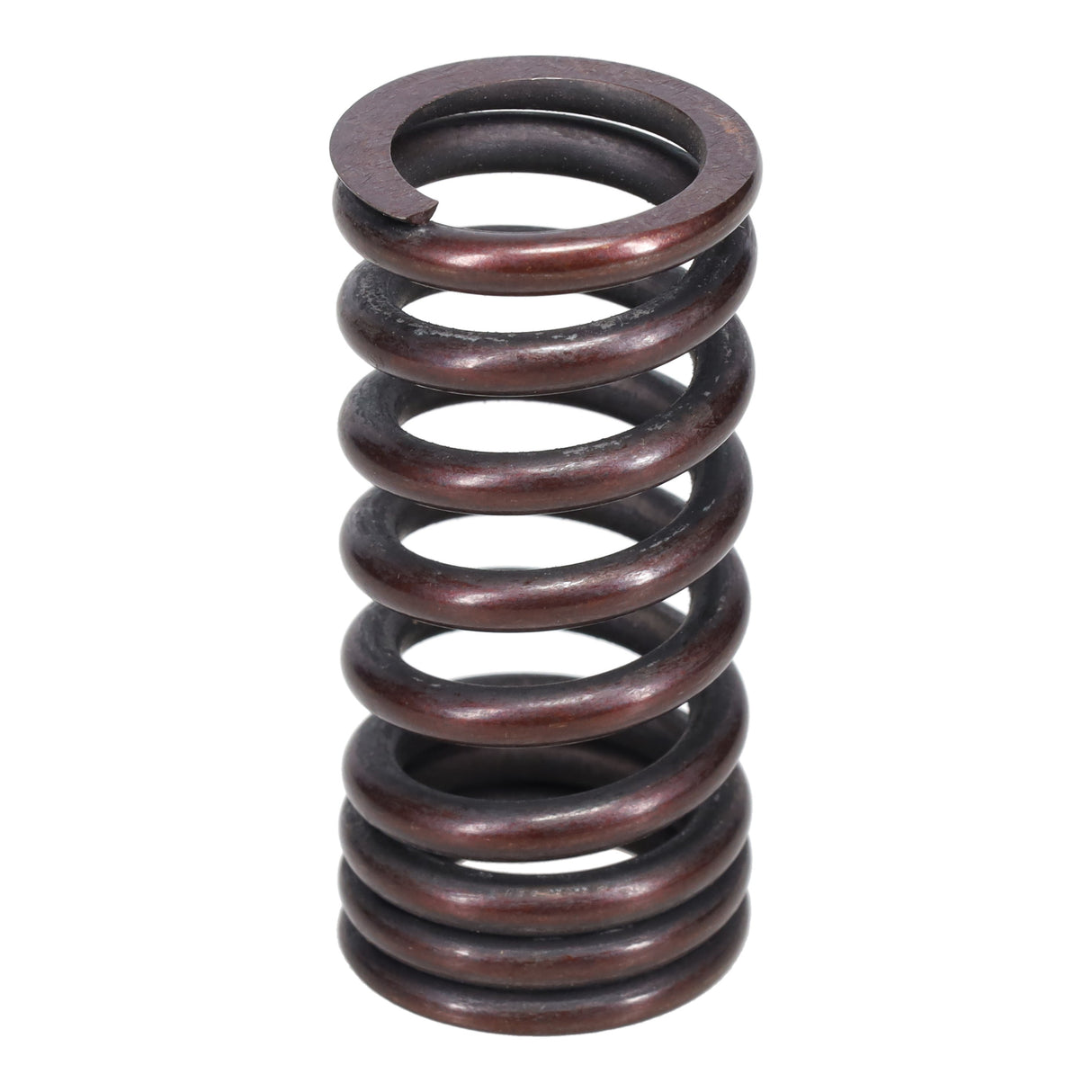 Valve Spring