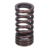 Valve Spring