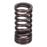 Valve Spring