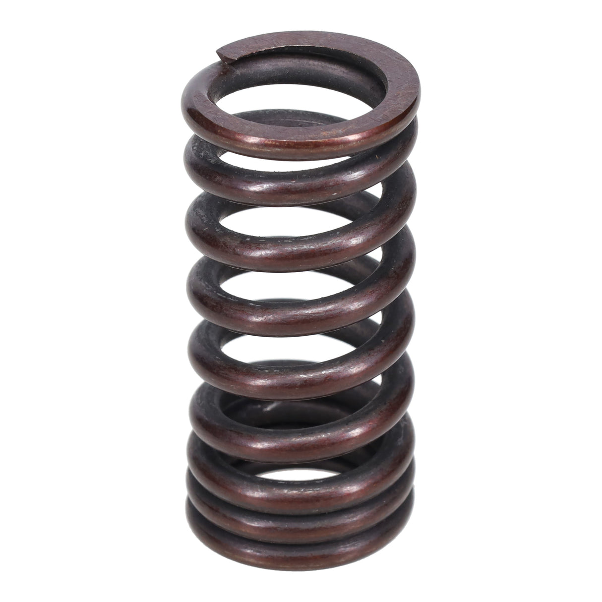 Valve Spring