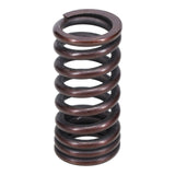 Valve Spring