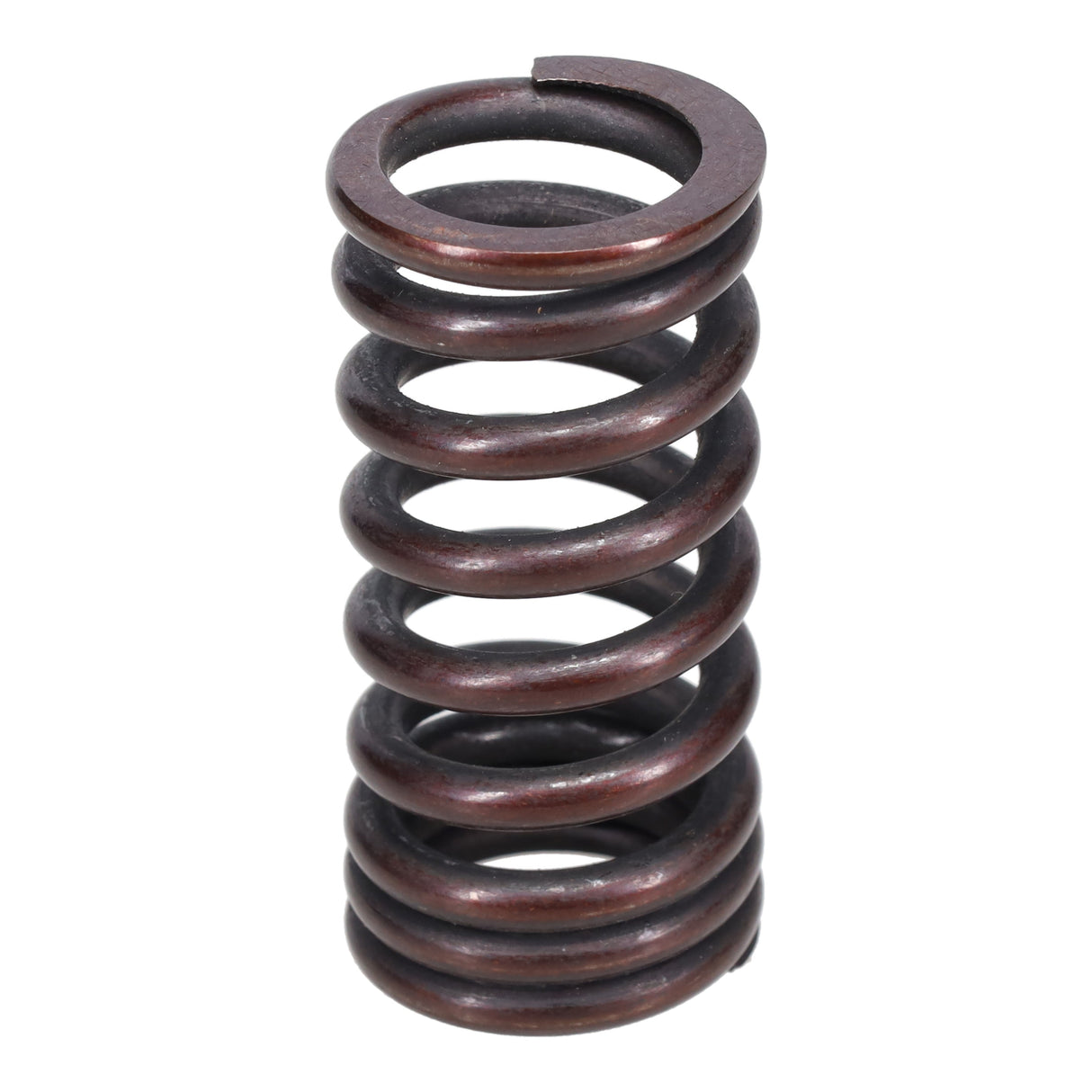 Valve Spring