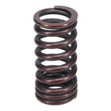 Valve Spring