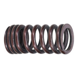 Valve Spring