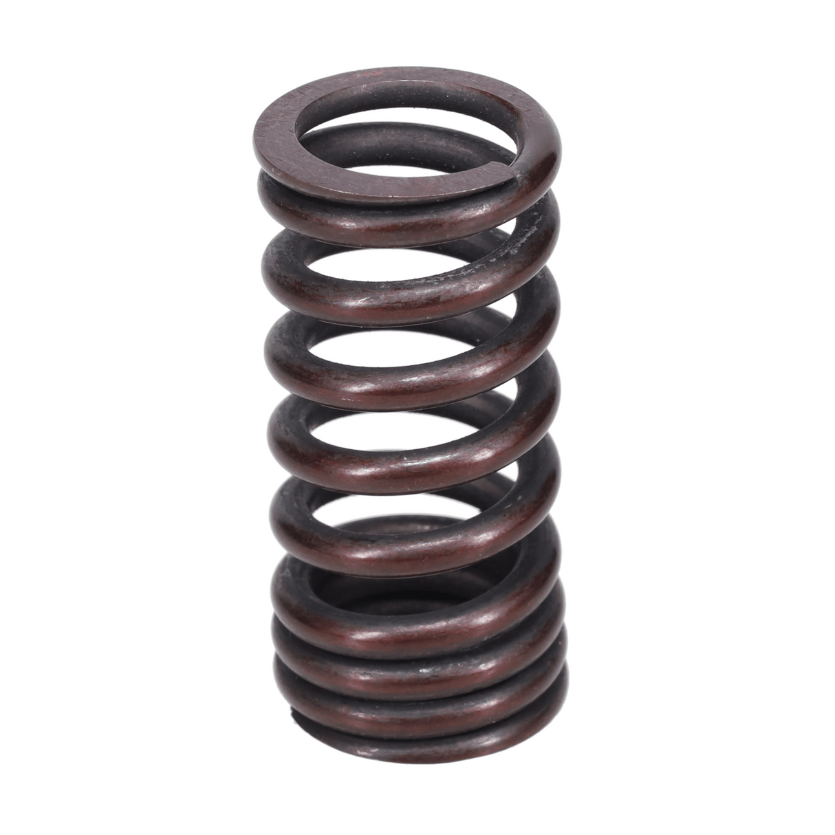 Valve Spring
