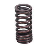 Valve Spring