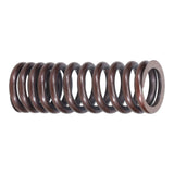 Valve Spring