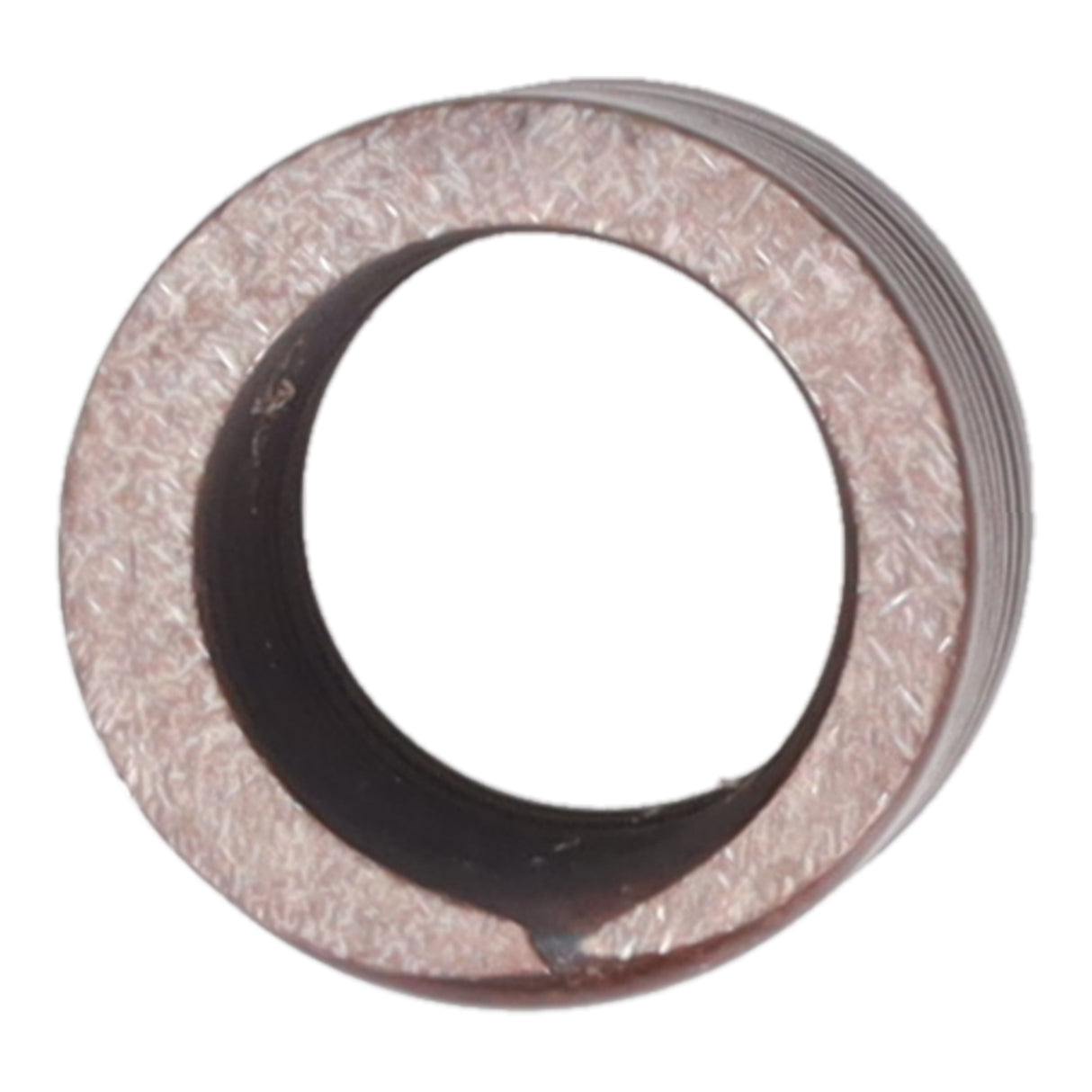Valve Spring