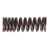 Valve Spring