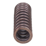 Valve Spring