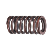 Valve Spring