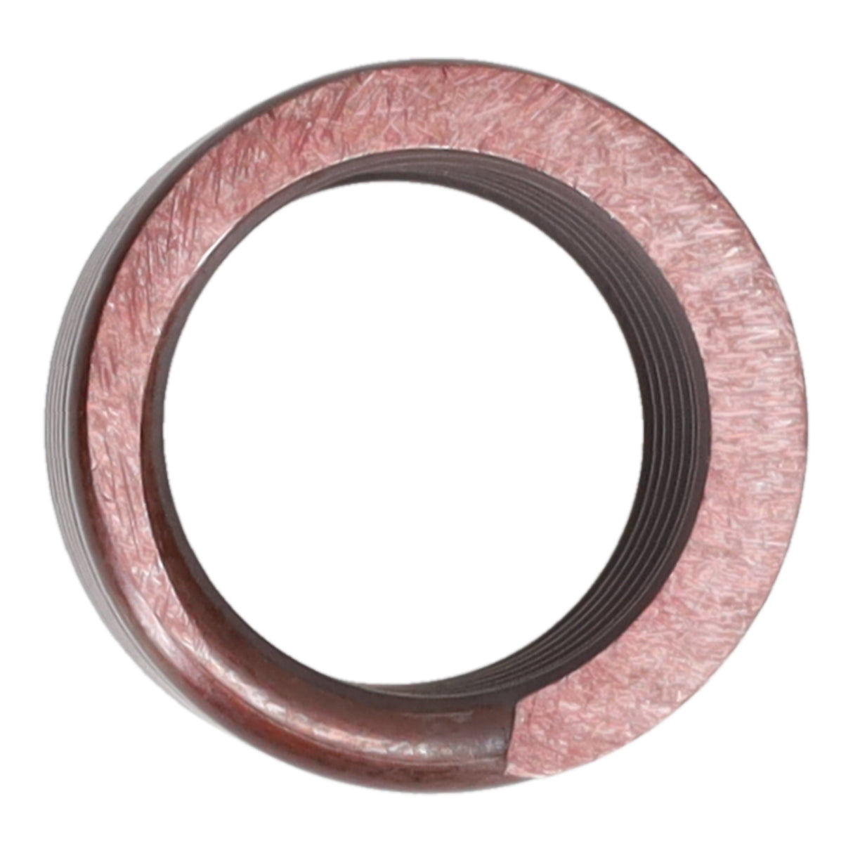 Valve Spring