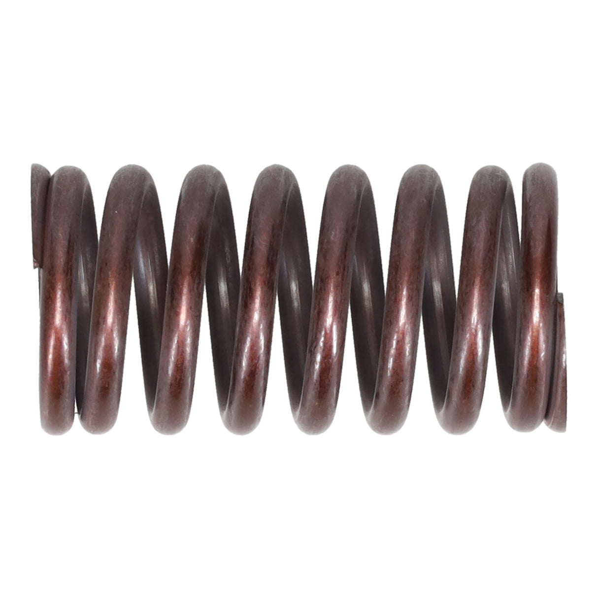 Valve Spring