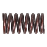Valve Spring