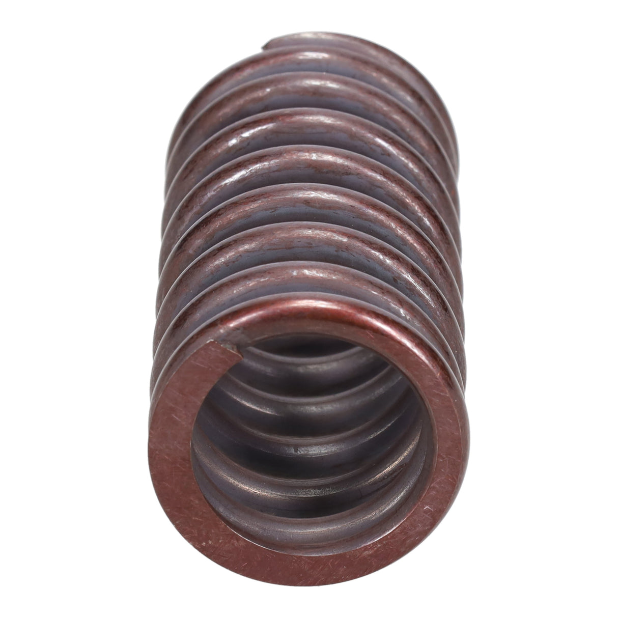Valve Spring