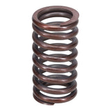 Valve Spring