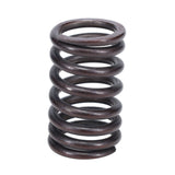 Valve Spring