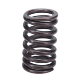 Valve Spring