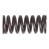 VS428 Valve Spring