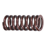 Valve Spring