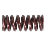 Valve Spring