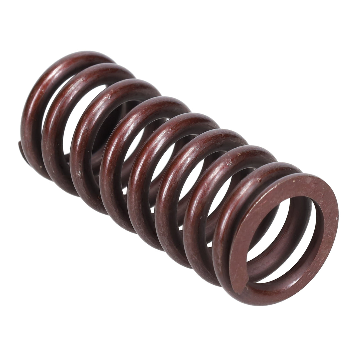 Valve Spring