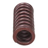 Valve Spring