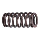 VS488 Valve Spring