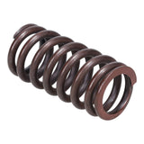 VS488 Valve Spring