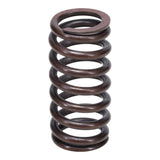 VS488 Valve Spring