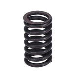 Valve Spring