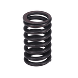 Valve Spring