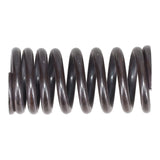 Valve Spring