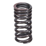 Valve Spring