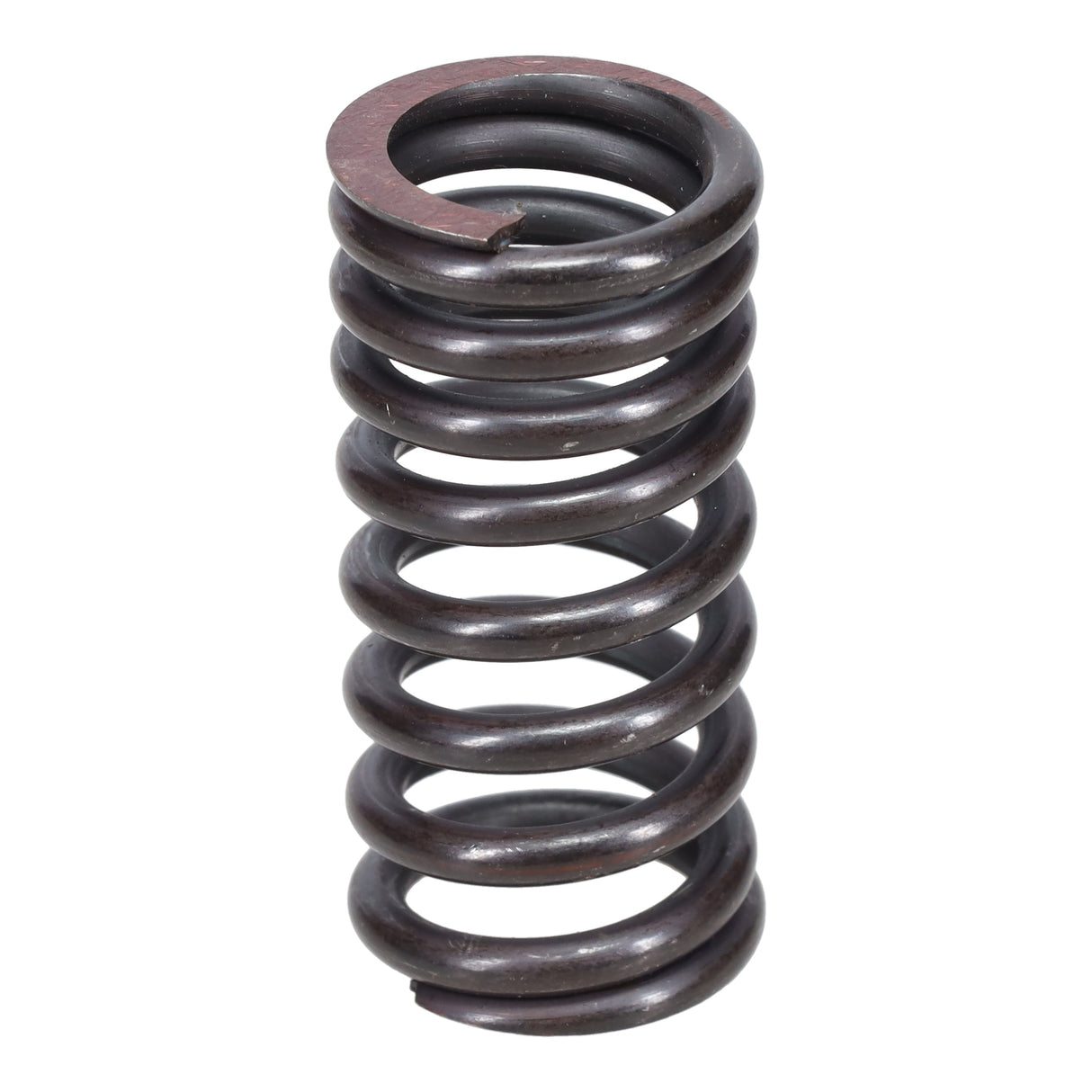 Valve Spring