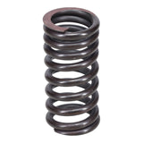 Valve Spring