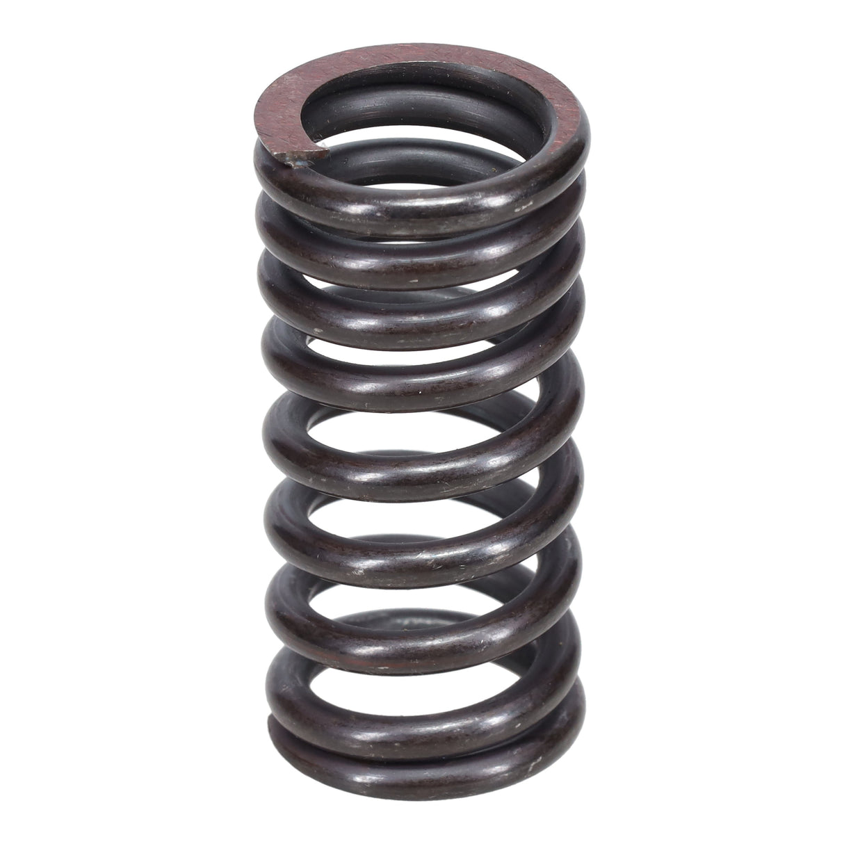 Valve Spring