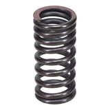 Valve Spring