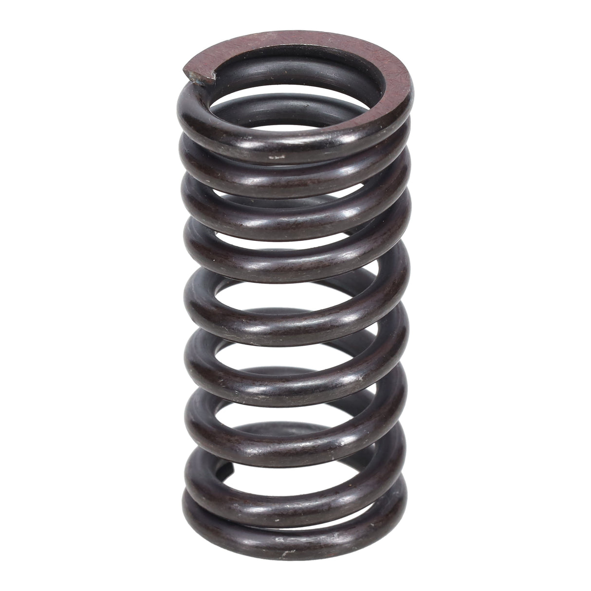 Valve Spring