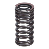 Valve Spring