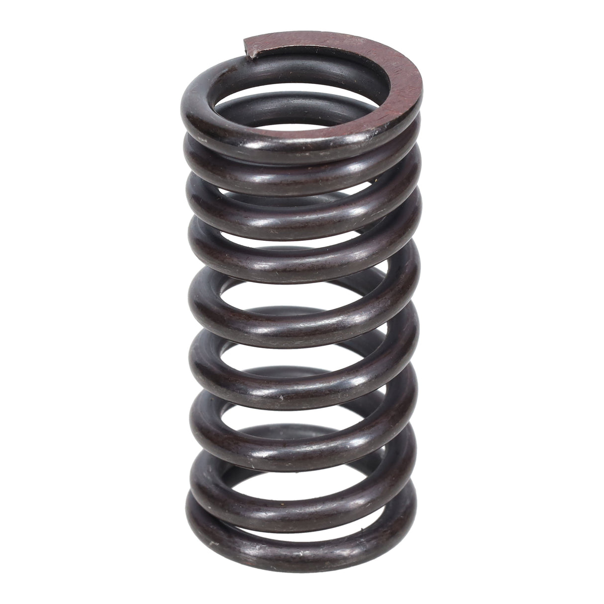 Valve Spring