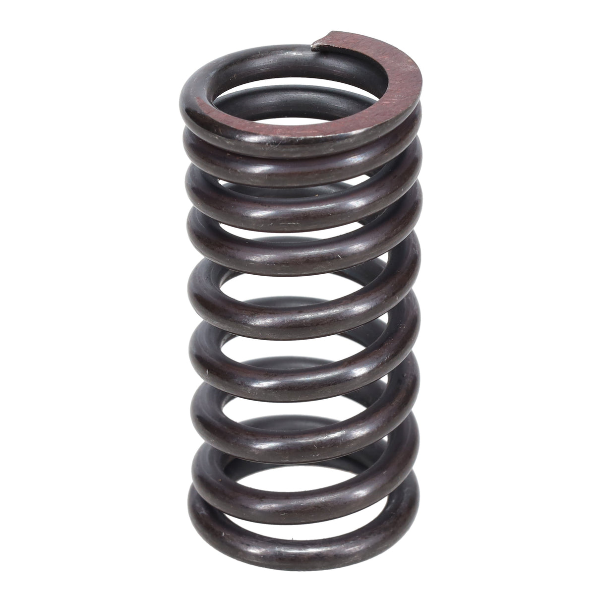 Valve Spring