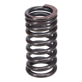 Valve Spring