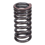 Valve Spring